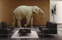 Elephant in the room