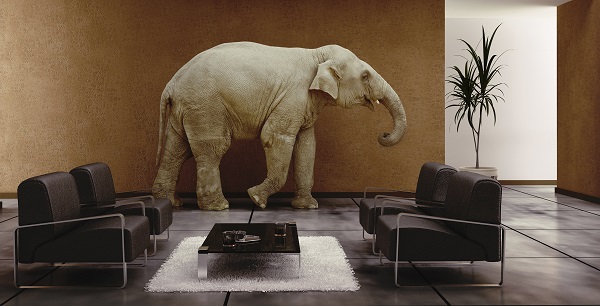 Elephant in the room